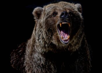 Bitcoin Plunges Below $84K as Crypto Sell-Off Wipes Out Weekly Gains