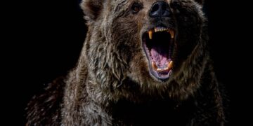 Bitcoin Plunges Below $84K as Crypto Sell-Off Wipes Out Weekly Gains