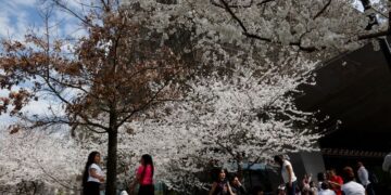 Trump's order on museums sparks debate among Americans on patriotism and history