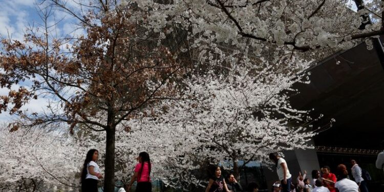Trump's order on museums sparks debate among Americans on patriotism and history