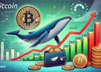Bitcoin Whales Stop Selling – 290K BTC Offload Signals Rising Accumulation