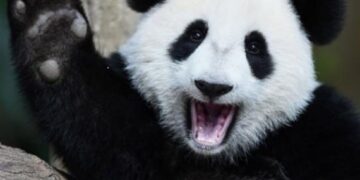 China March official Manufacturing PMI 50.5 (expected of 50.5)