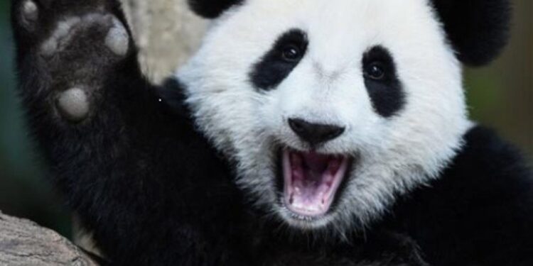 China March official Manufacturing PMI 50.5 (expected of 50.5)