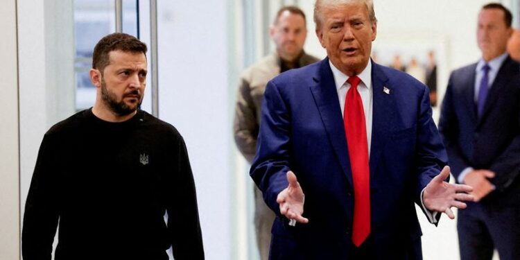 What are Ukraine's critical minerals and why does Trump want them?