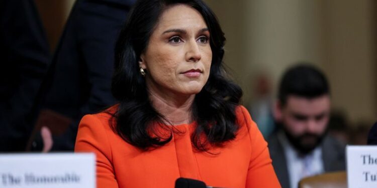 Top Democrat says new Gabbard task force is 'witch hunt' in spy agencies