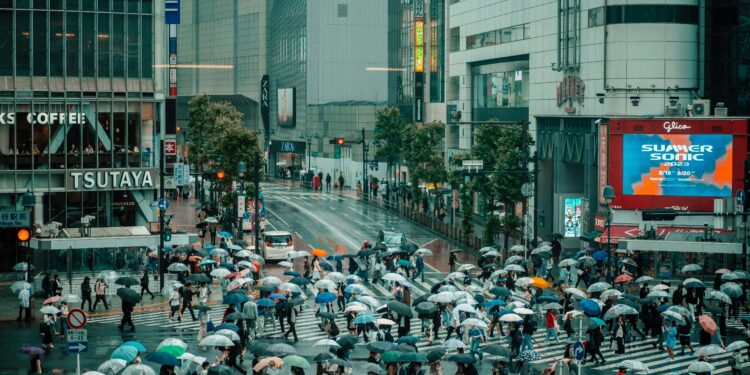 Which Blockchain is Building the Future of Digital Cash?