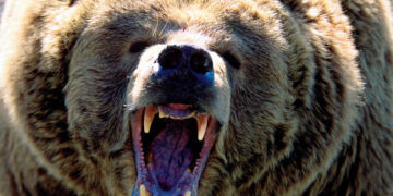 Why the stock market sell-off may not be done yet