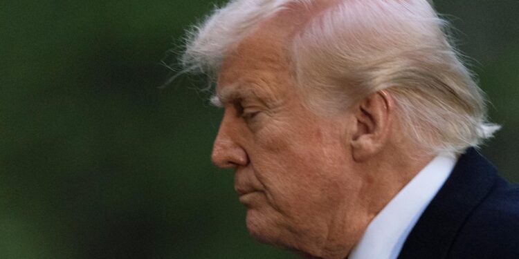 The Trump stock market crash will hurt Main Street more than Wall Street