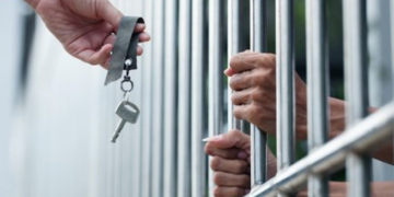 Ethereum’s Controversial Developer Freed Before Full Sentence