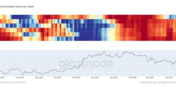 Bitcoin Whales Keep Strong Accumulation Trend As Mid-Sized Holders Hint At Sentiment Shift – Details