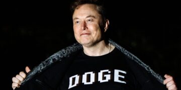 Palantir, Wells Fargo, Among Stock Winners of DOGE Cost Cuts