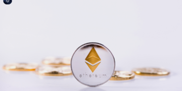 No Token, No VC, Just Pure Decentralized Rollup