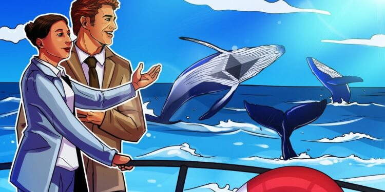 Ethereum whales, sharks keep buying up ETH as retail cashes out