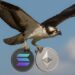 REX-Osprey Ethereum, Solana staked ETFs may launch soon as SEC raises no objections