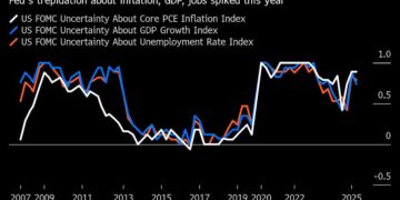 Stock Market’s Path Depends on Fed’s View of What We Don’t Know