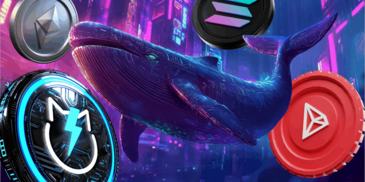 Solana, Tron, Ethereum, and Best Crypto to Invest in that Whales are Obsessed With