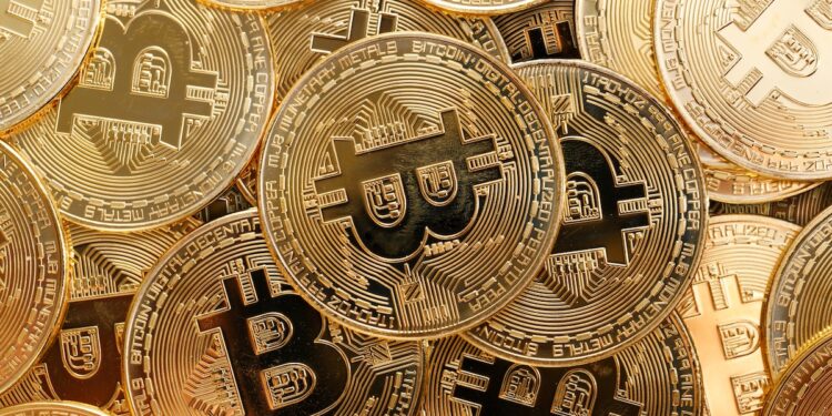 From Bitcoin Maxis to Yield Farmers: A Crypto Archetype Glossary