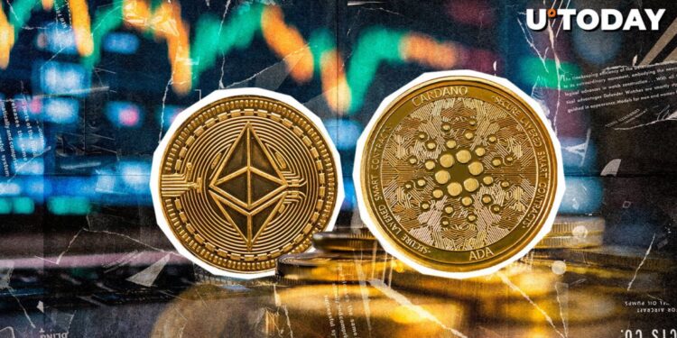 Ethereum and Cardano Lead Development Activity as Crypto Market Rebounds