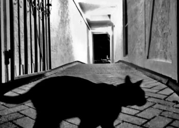 Stocks: Friday the 13th brings global selloff as AI fear grips markets