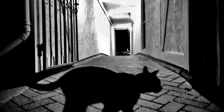 Stocks: Friday the 13th brings global selloff as AI fear grips markets