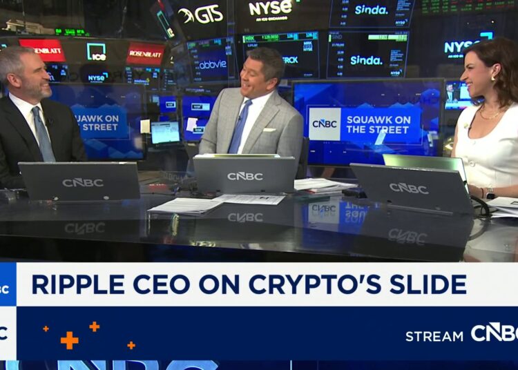 Watch CNBC’s full interview with Ripple CEO Brad Garlinghouse