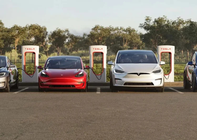 I missed out on Tesla stock. So should I buy SpaceX?