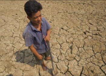 Hedge fund targets US$500mil for El Niño crop risk trade