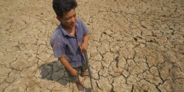 Hedge fund targets US$500mil for El Niño crop risk trade