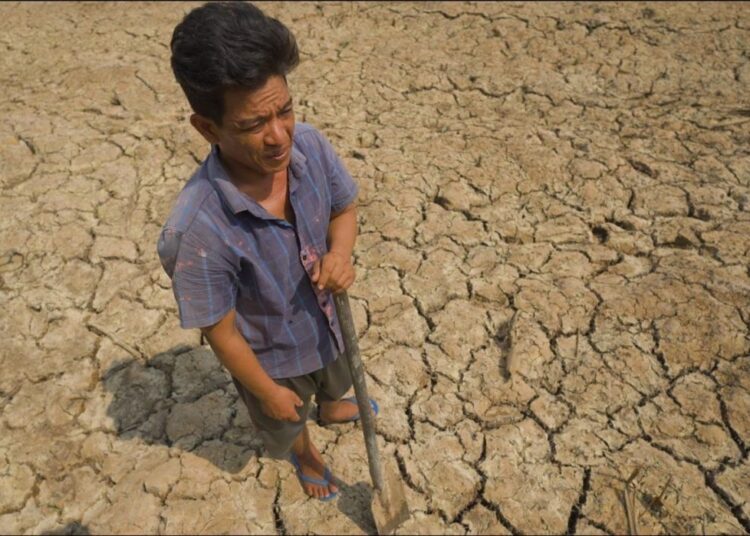 Hedge fund targets US$500mil for El Niño crop risk trade