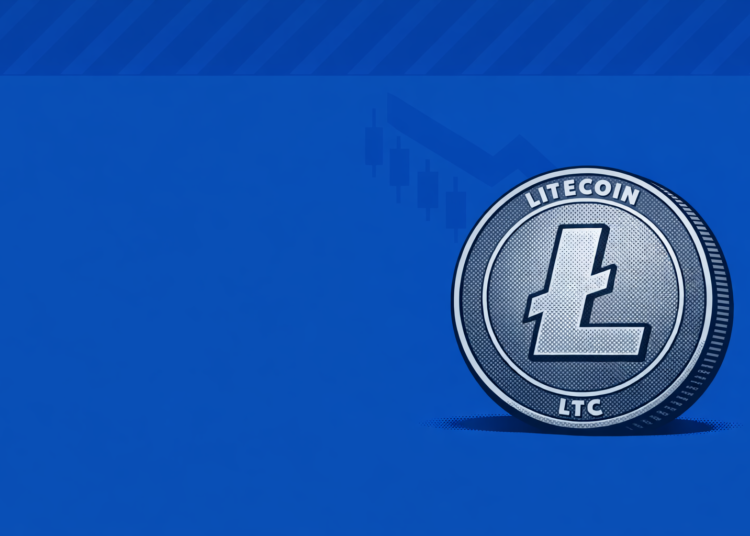 Litecoin Drops 5.8% Amid Broad Crypto Risk-Off and Weak ETF | Top Stories