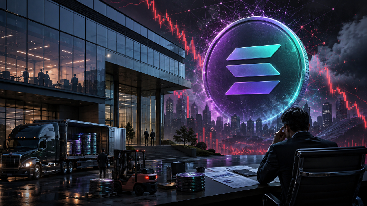Is Solana Price Going to $50 as Whales Deposit 600,000 SOL in Exchanges?