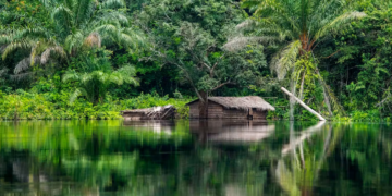 The 20km ripple effect: how mines can trigger distant deforestation in Africa