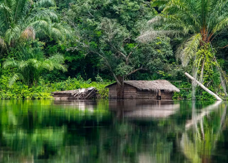 The 20km ripple effect: how mines can trigger distant deforestation in Africa