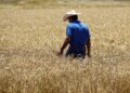 Extreme Weather Raises Commodity Market Risks