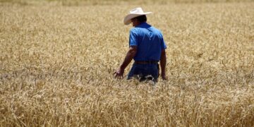 Extreme Weather Raises Commodity Market Risks