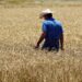 Extreme Weather Raises Commodity Market Risks