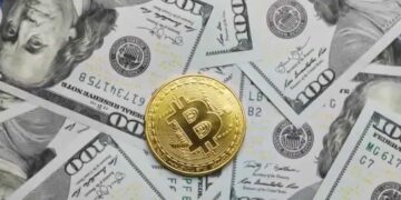 State-backed Bitcoin venture blocked by Executive Council