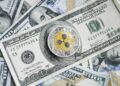 Ripple’s USD Stablecoin Isn’t ‘Eating’ XRP, Evernorth Breaks Down