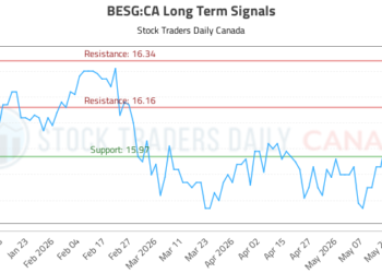 (BESG) Market Performance Analysis