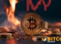 Bitcoin To $40,000? If History’s Anything To Go By, It’s Possible, Says Report