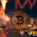 Bitcoin To $40,000? If History’s Anything To Go By, It’s Possible, Says Report