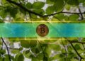 Bitcoin’s Recovery Gains Momentum, Putting July Off to a Strong Start