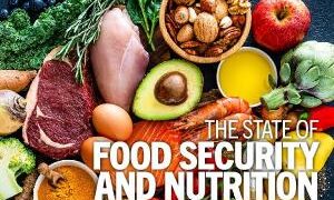 UN Food Security Report Finds $540BN in Farm Subsidies Locked Into Commodities That Crowd Out Plant Foods – vegconomist