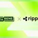 Notabene Secures Strategic Investment From Ripple to Expand Enterprise Stablecoin Payments