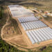 Amazon’s big Eastern Cape spekboom carbon credit deal