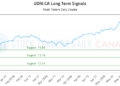 (UDIV) Market Performance Analysis