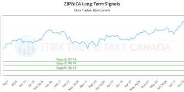(ZJPN) Market Performance Analysis