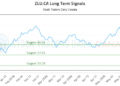(ZLU) Market Performance Analysis