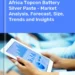 Topcon Battery Silver Paste Market in Africa | Report – IndexBox