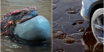 Full Water Interaction Toolkit For 3ds Max